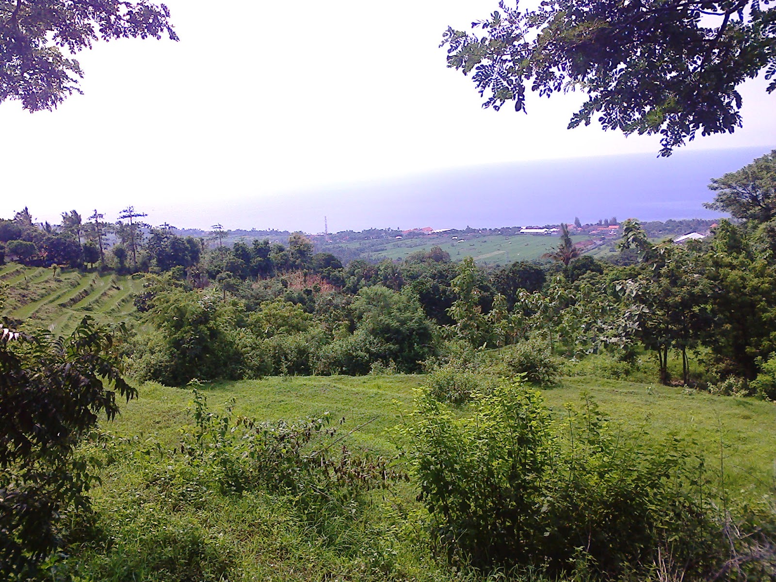 PEMANDANGAN INDAH DARI DESA CEMPAGA